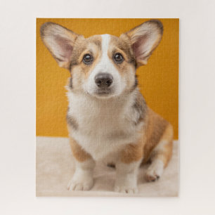 Niedliche Kleintiere   Corgi Portrait auf Orange Puzzle
