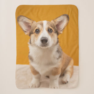 Niedliche Kleintiere Corgi Portrait auf Orange Sherpadecke
