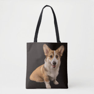 Niedliche Kleintiere Corgi-Portrait auf Schwarz