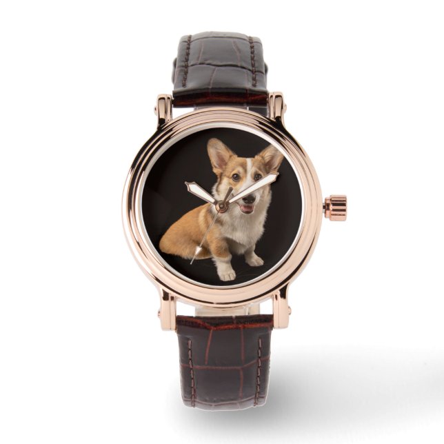 Niedliche Kleintiere | Corgi-Portrait auf Schwarz Armbanduhr (Vorderseite)