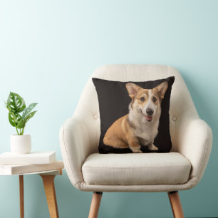 Niedliche Kleintiere Corgi-Portrait auf Schwarz Kissen