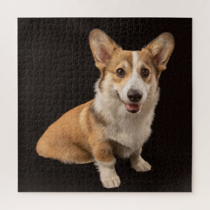 Niedliche Kleintiere   Corgi-Portrait auf Schwarz Puzzle