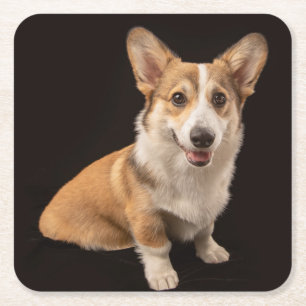 Niedliche Kleintiere Corgi-Portrait auf Schwarz Rechteckiger Pappuntersetzer