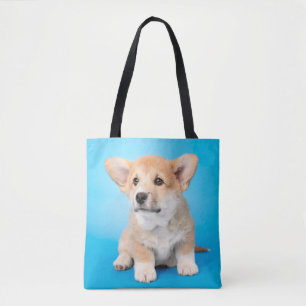 Niedliche Kleintiere   Corgi Puppy auf blau