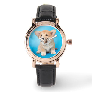 Niedliche Kleintiere   Corgi Puppy auf blau Armbanduhr