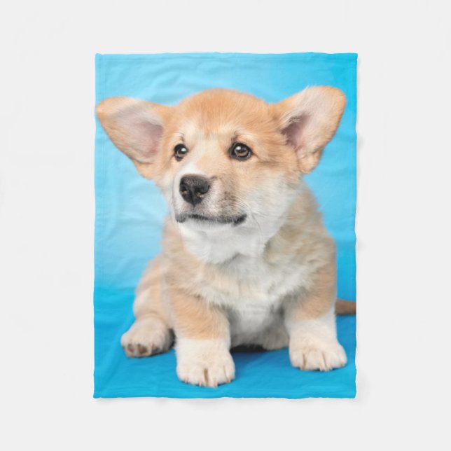 Niedliche Kleintiere | Corgi Puppy auf blau Fleecedecke (Vorderseite)