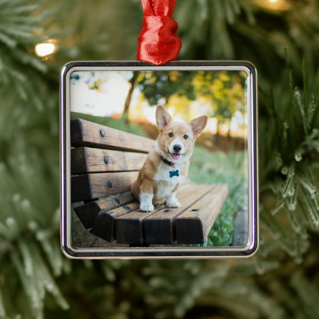 Niedliche Kleintiere | Corgi Puppy auf einer Parkb Ornament Aus Metall (Baum)