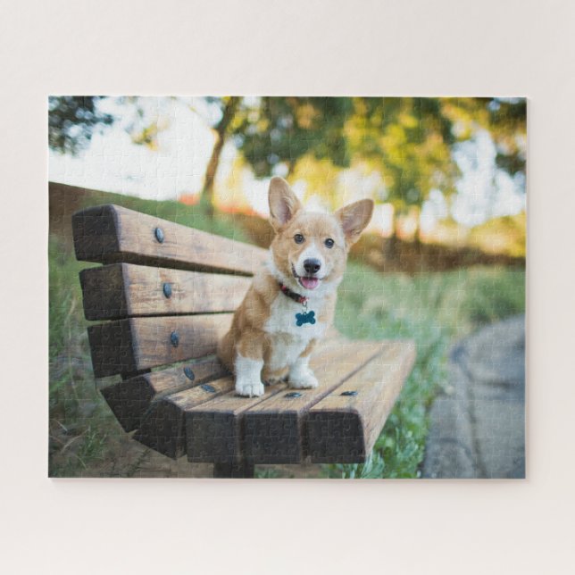 Niedliche Kleintiere | Corgi Puppy auf einer Parkb Puzzle (Horizontal)
