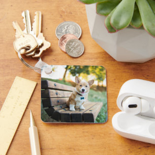 Niedliche Kleintiere   Corgi Puppy auf einer Parkb Schlüsselanhänger