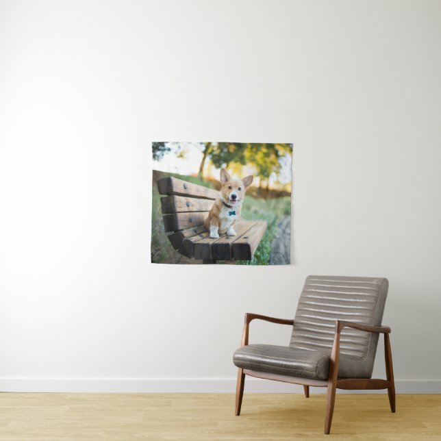 Niedliche Kleintiere | Corgi Puppy auf einer Parkb Wandteppich (Beispiel (Horizontal))