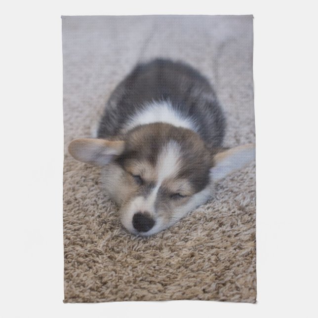Niedliche Kleintiere | Corgi Puppy auf Shag Rug Geschirrtuch (Vertikal)