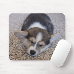 Niedliche Kleintiere   Corgi Puppy auf Shag Rug Mousepad