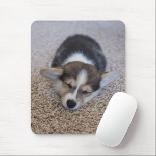 Niedliche Kleintiere   Corgi Puppy auf Shag Rug Mousepad