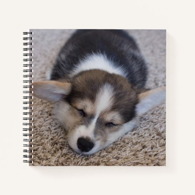 Niedliche Kleintiere | Corgi Puppy auf Shag Rug Notizbuch (Vorderseite)