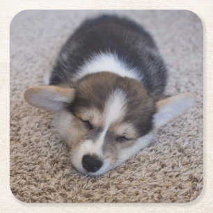 Niedliche Kleintiere   Corgi Puppy auf Shag Rug Rechteckiger Pappuntersetzer