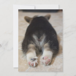 Niedliche Kleintiere Corgi Puppy Behind Dankeskarte