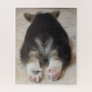 Niedliche Kleintiere   Corgi Puppy Behind Puzzle