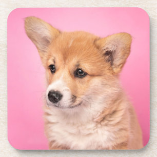 Niedliche Kleintiere   Corgi Puppy in Pink Getränkeuntersetzer