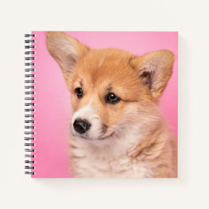 Niedliche Kleintiere Corgi Puppy in Pink Notizbuch