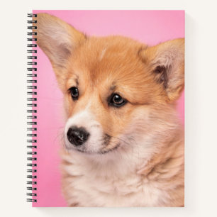 Niedliche Kleintiere Corgi Puppy in Pink Notizbuch