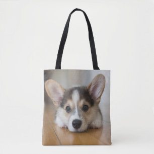 Niedliche Kleintiere Corgi Puppy Looking