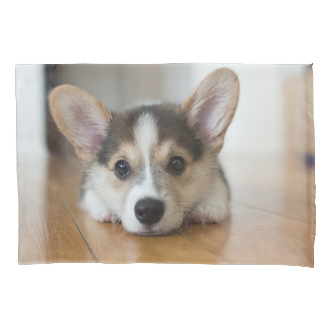 Niedliche Kleintiere | Corgi Puppy Looking Kissenbezug (Vorderseite)