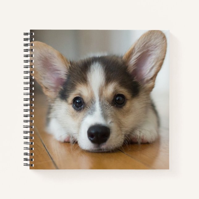 Niedliche Kleintiere | Corgi Puppy Looking Notizbuch (Vorderseite)