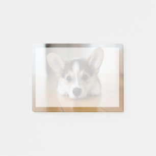 Niedliche Kleintiere   Corgi Puppy Looking Post-it Klebezettel