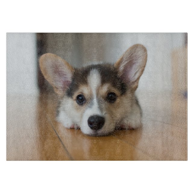Niedliche Kleintiere | Corgi Puppy Looking Schneidebrett (Vorderseite)