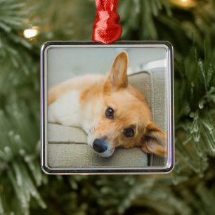 Niedliche Kleintiere Corgi Puppy on Couch Ornament Aus Metall