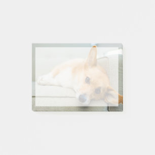 Niedliche Kleintiere Corgi Puppy on Couch Post-it Klebezettel