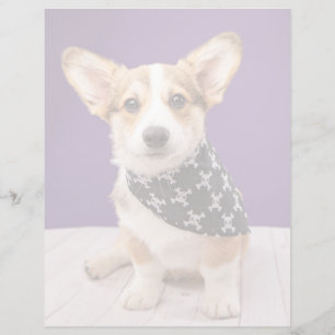 Niedliche Kleintiere   Corgi Puppy Skull Bandana
