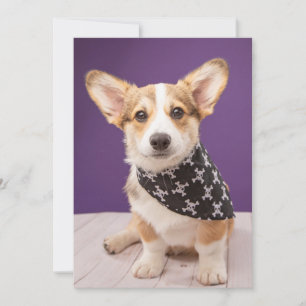Niedliche Kleintiere Corgi Puppy Skull Bandana Dankeskarte