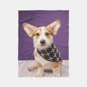 Niedliche Kleintiere Corgi Puppy Skull Bandana Fleecedecke
