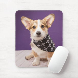 Niedliche Kleintiere   Corgi Puppy Skull Bandana Mousepad