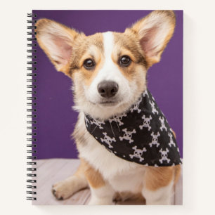Niedliche Kleintiere Corgi Puppy Skull Bandana Notizbuch