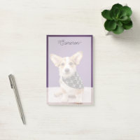 Niedliche Kleintiere | Corgi Puppy Skull Bandana
