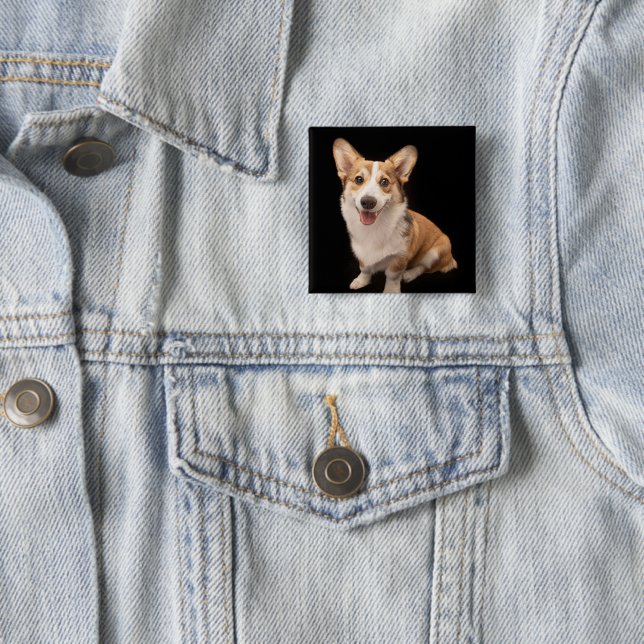 Niedliche Kleintiere | Corgi Puppy Smile Button (Beispiel)
