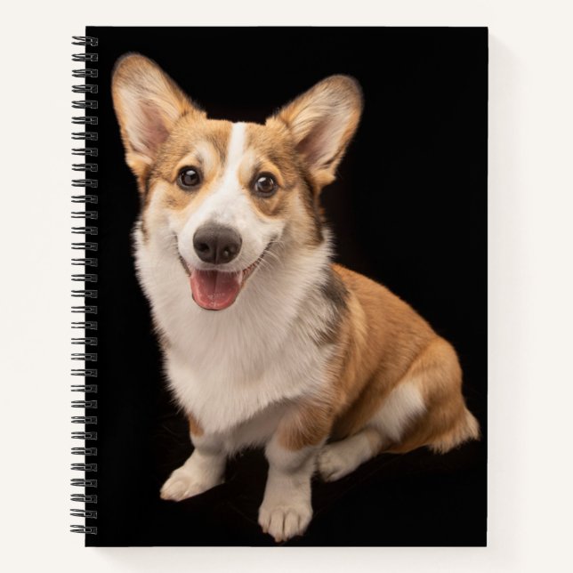 Niedliche Kleintiere | Corgi Puppy Smile Notizbuch (Vorderseite)