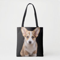 Niedliche Kleintiere | Corgi Puppy Stehend Tal