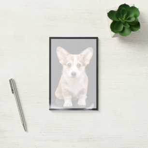 Niedliche Kleintiere Corgi Puppy Stehend Tal Post-it Klebezettel