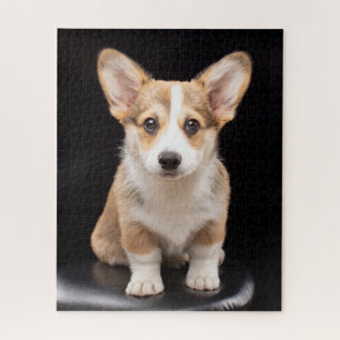 Niedliche Kleintiere   Corgi Puppy Stehend Tal Puzzle
