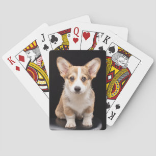 Niedliche Kleintiere   Corgi Puppy Stehend Tal Spielkarten