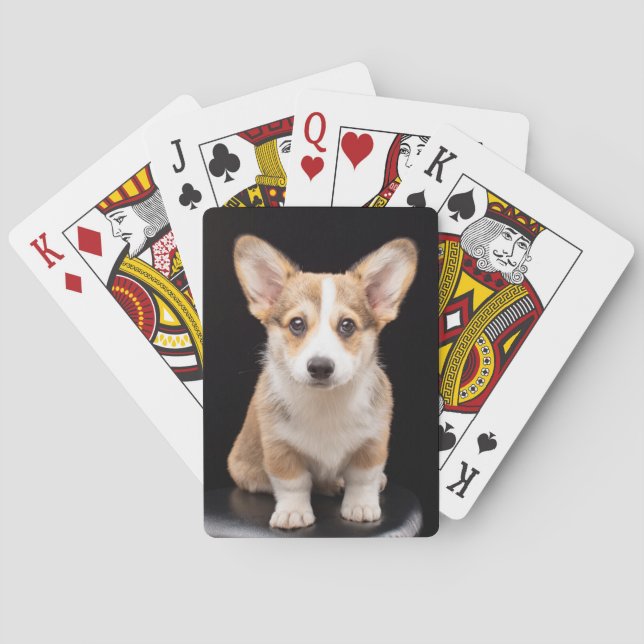 Niedliche Kleintiere | Corgi Puppy Stehend Tal Spielkarten (Rückseite)
