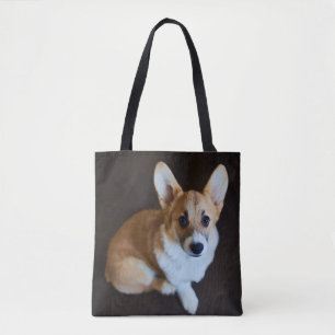 Niedliche Kleintiere Corgi Sucht nach oben