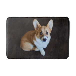 Niedliche Kleintiere   Corgi Sucht nach oben Badematte