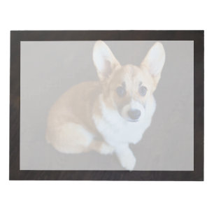 Niedliche Kleintiere   Corgi Sucht nach oben Notizblock