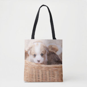 Niedliche Kleintiere Corgi Tiny Puppy