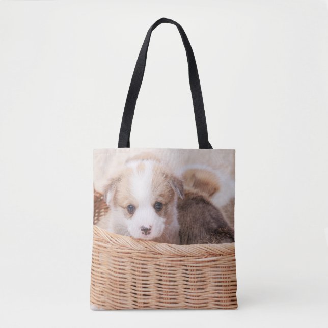 Niedliche Kleintiere | Corgi Tiny Puppy (Vorderseite)