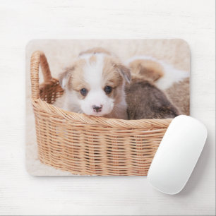 Niedliche Kleintiere   Corgi Tiny Puppy Mousepad